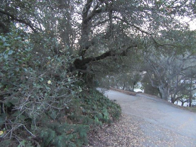 9047 Prunedale South Road, SALINAS, California 93907, ,Comm Lots And Land,For Sale,Prunedale South Road,40962365