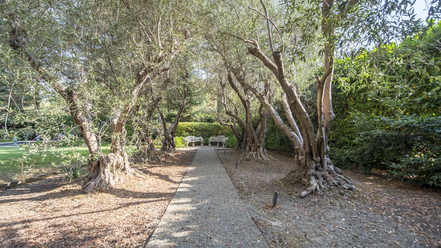 65 Bridge Road, HILLSBOROUGH, California 94010, ,Lots And Land,For Sale,Bridge Road,40961972