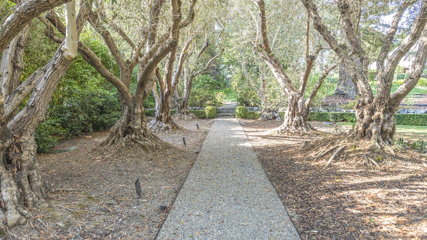 65 Bridge Road, HILLSBOROUGH, California 94010, ,Lots And Land,For Sale,Bridge Road,40961972