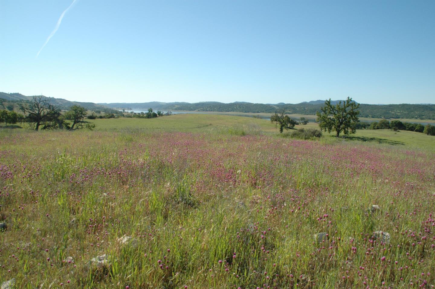 0 New Pleyto, BRADLEY, California 93426, ,Lots And Land,For Sale,New Pleyto,40963491