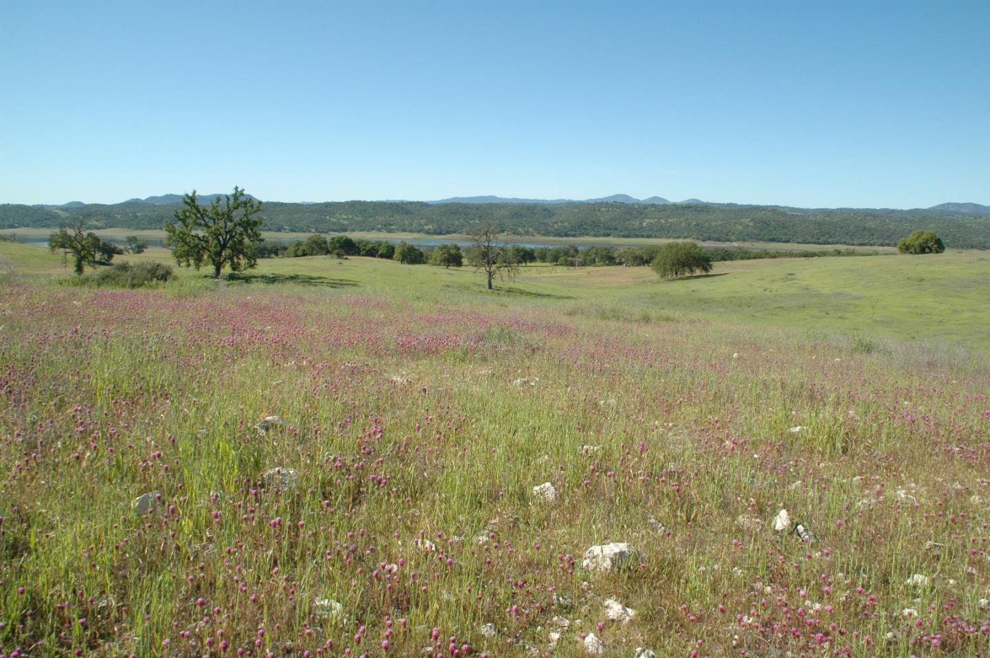 0 New Pleyto, BRADLEY, California 93426, ,Lots And Land,For Sale,New Pleyto,40963491