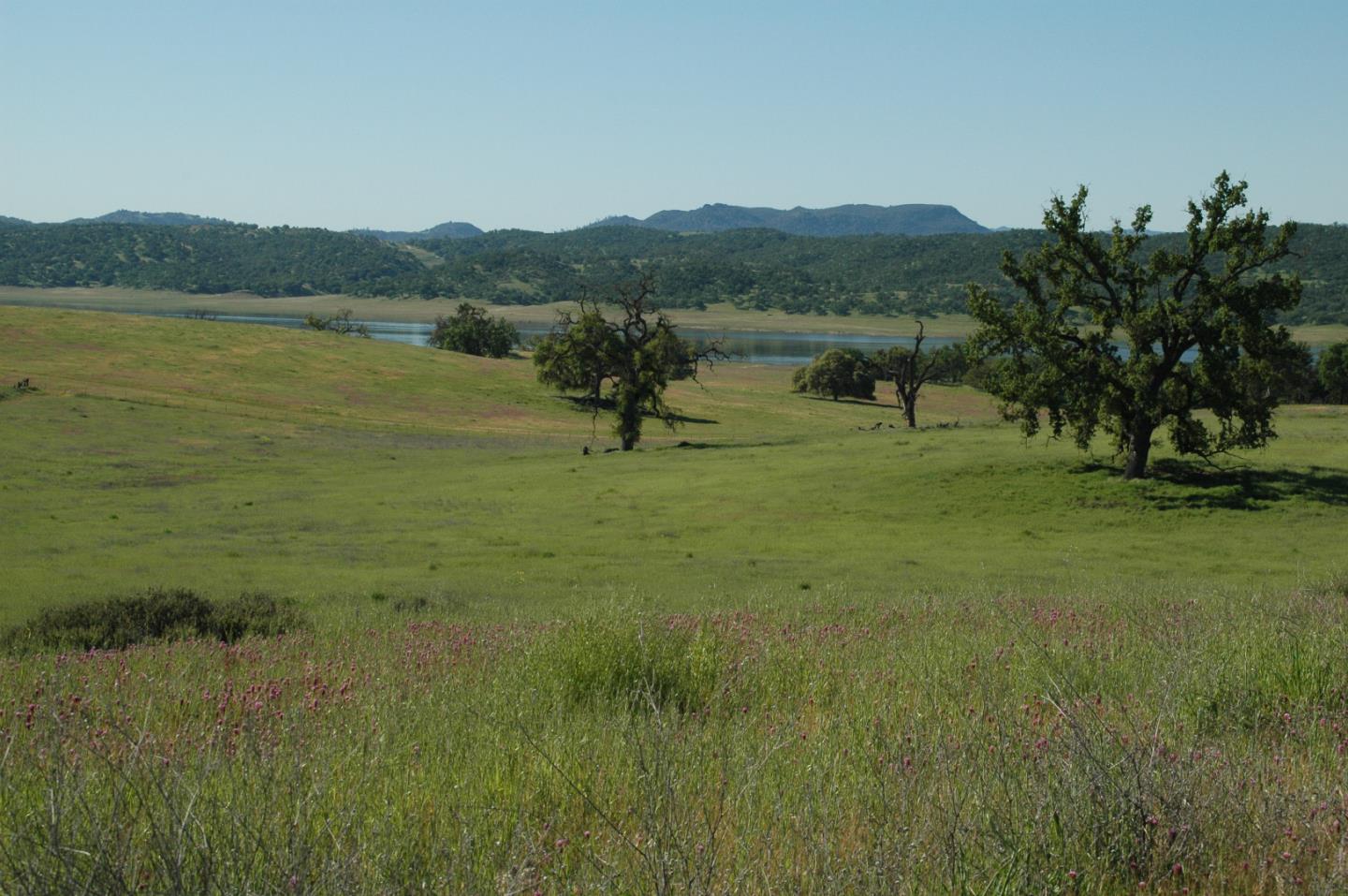 0 New Pleyto, BRADLEY, California 93426, ,Lots And Land,For Sale,New Pleyto,40963491