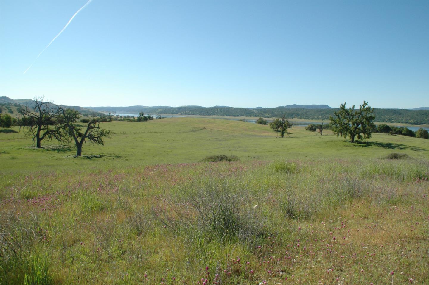 0 New Pleyto, BRADLEY, California 93426, ,Lots And Land,For Sale,New Pleyto,40963491
