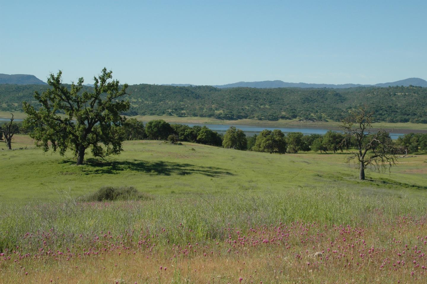 0 New Pleyto, BRADLEY, California 93426, ,Lots And Land,For Sale,New Pleyto,40963491