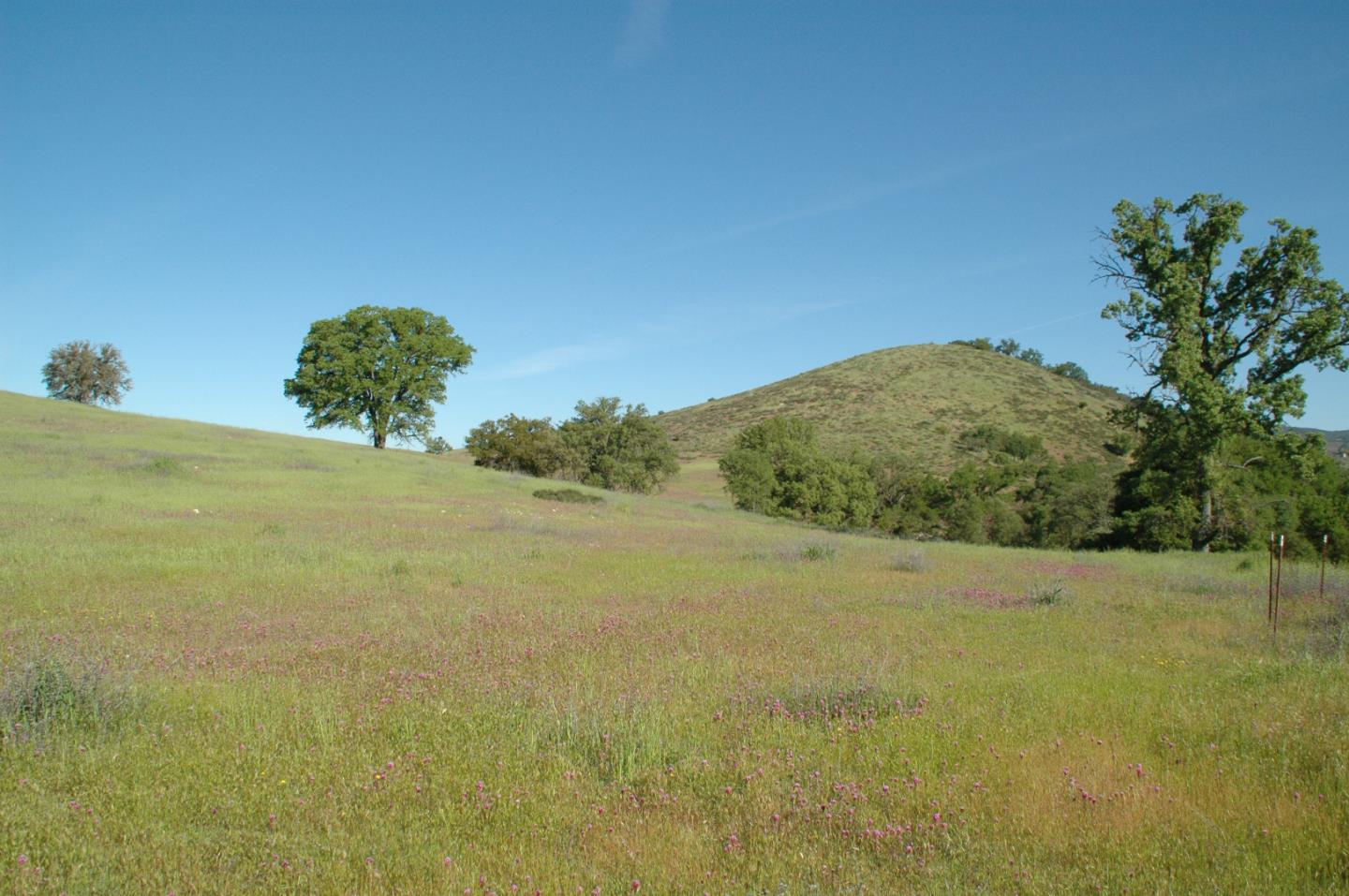 0 New Pleyto, BRADLEY, California 93426, ,Lots And Land,For Sale,New Pleyto,40963491