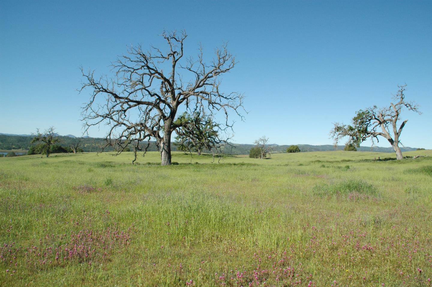 0 New Pleyto, BRADLEY, California 93426, ,Lots And Land,For Sale,New Pleyto,40963491