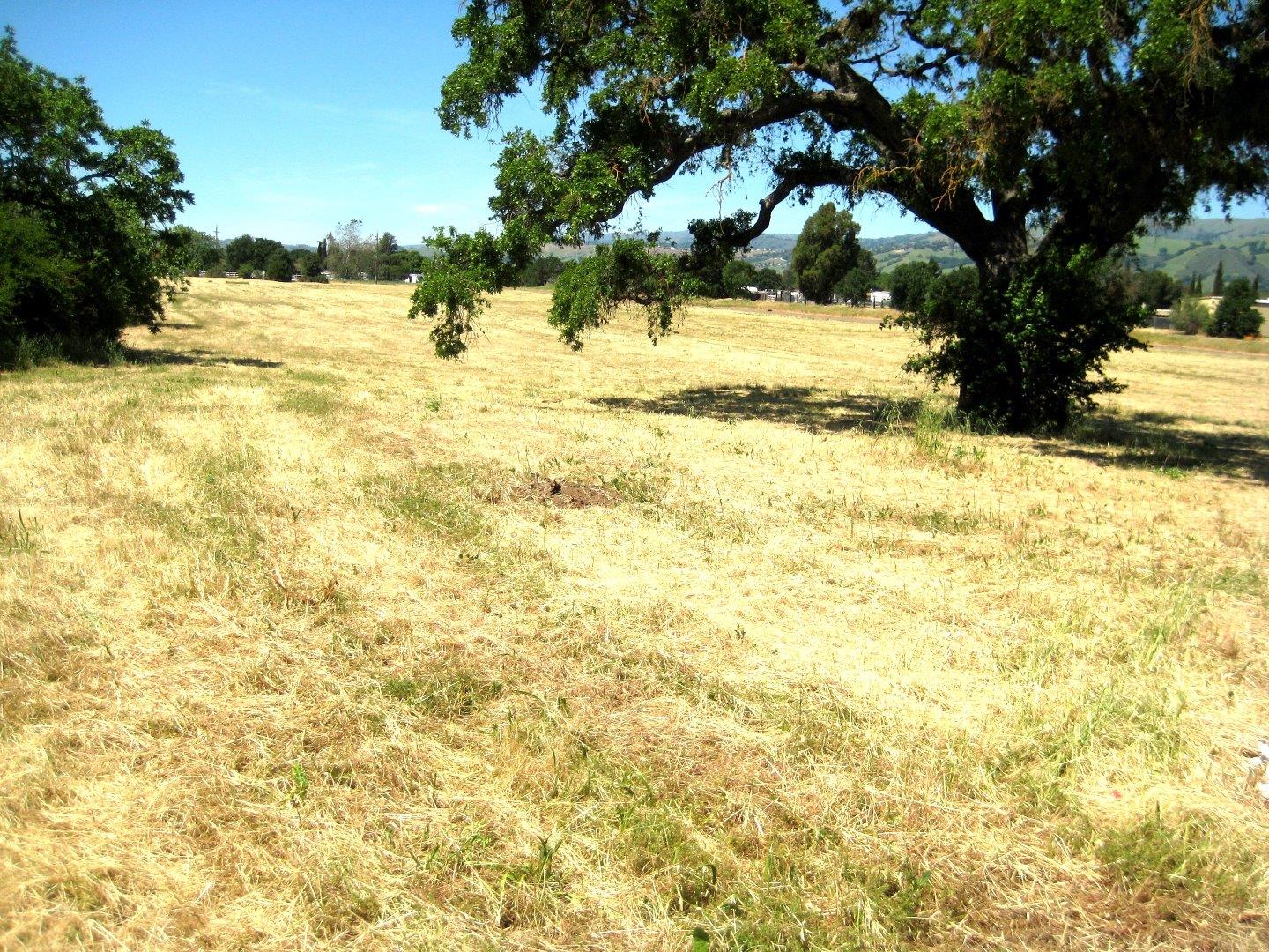 13640 Sycamore Avenue, SAN MARTIN, California 95046, ,Lots And Land,For Sale,Sycamore Avenue,40965104