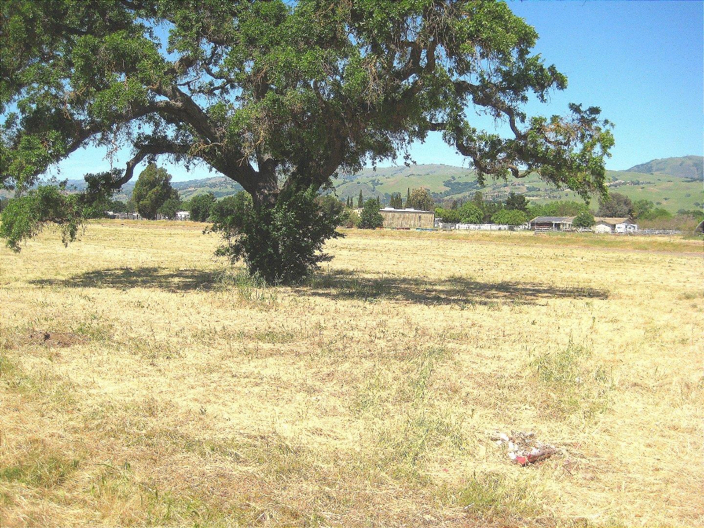 13640 Sycamore Avenue, SAN MARTIN, California 95046, ,Lots And Land,For Sale,Sycamore Avenue,40965104