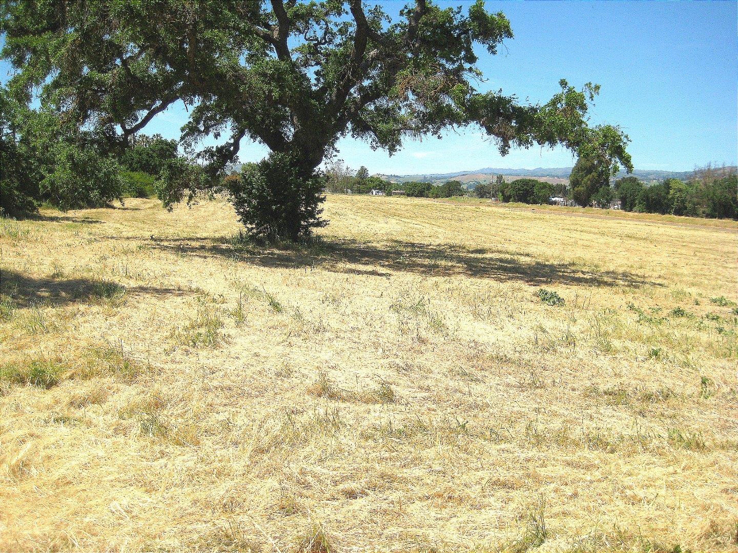 13640 Sycamore Avenue, SAN MARTIN, California 95046, ,Lots And Land,For Sale,Sycamore Avenue,40965104