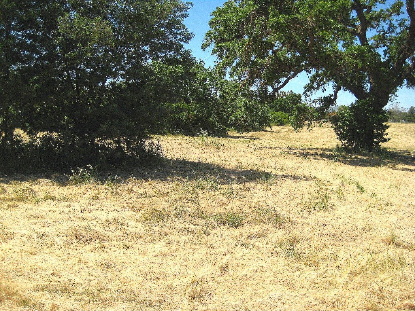 13640 Sycamore Avenue, SAN MARTIN, California 95046, ,Lots And Land,For Sale,Sycamore Avenue,40965104