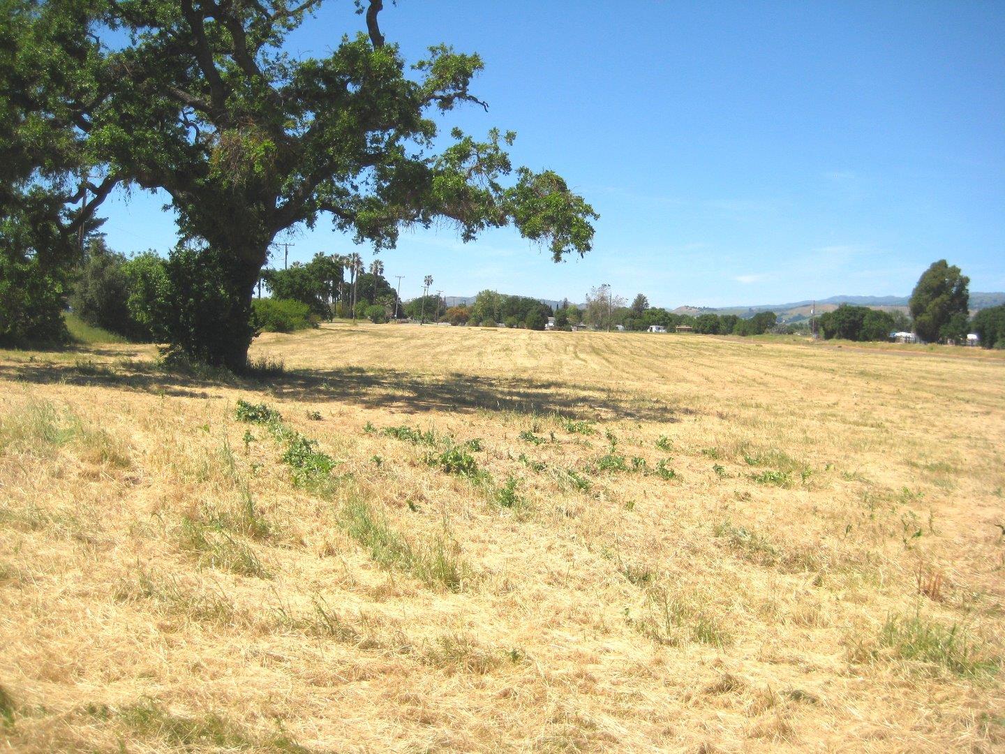 13640 Sycamore Avenue, SAN MARTIN, California 95046, ,Lots And Land,For Sale,Sycamore Avenue,40965104