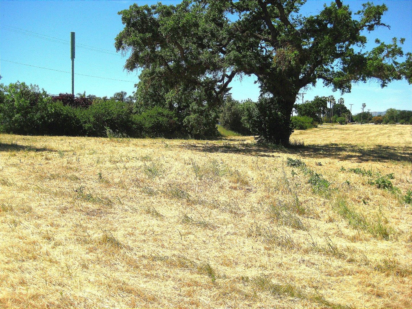 13640 Sycamore Avenue, SAN MARTIN, California 95046, ,Lots And Land,For Sale,Sycamore Avenue,40965104