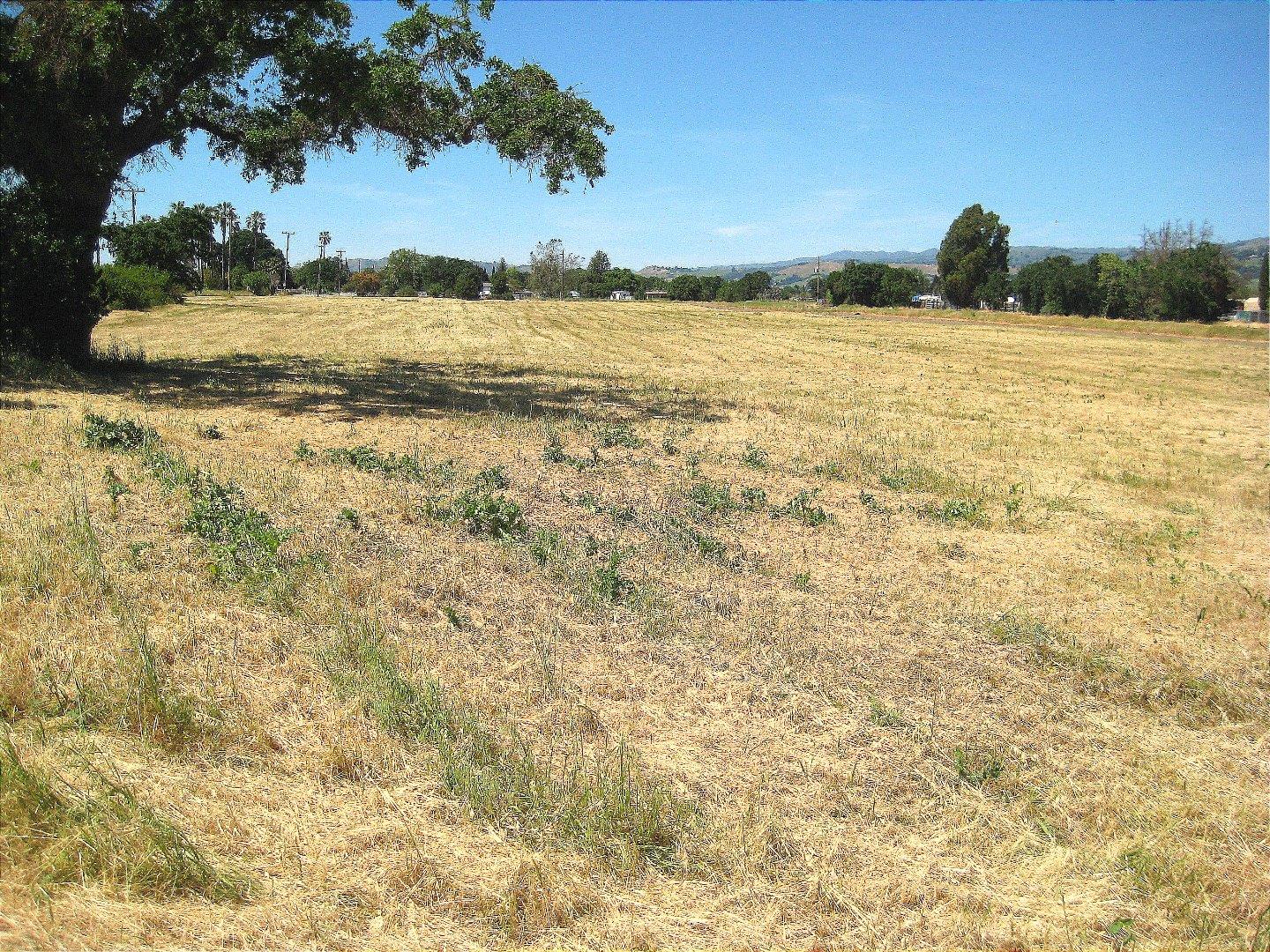 13640 Sycamore Avenue, SAN MARTIN, California 95046, ,Lots And Land,For Sale,Sycamore Avenue,40965104