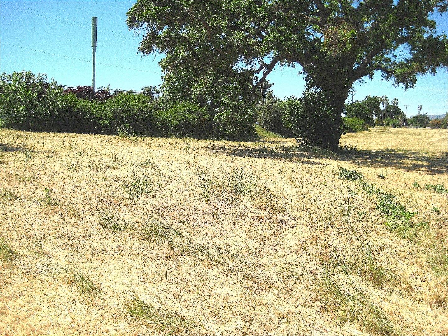 13640 Sycamore Avenue, SAN MARTIN, California 95046, ,Lots And Land,For Sale,Sycamore Avenue,40965104