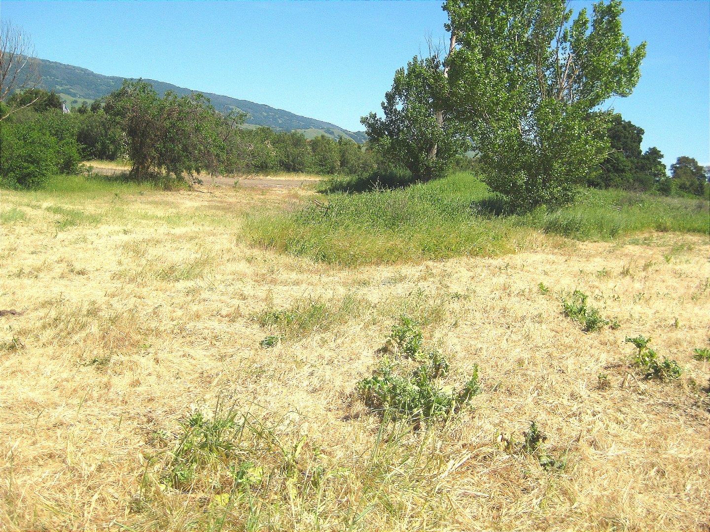 13640 Sycamore Avenue, SAN MARTIN, California 95046, ,Lots And Land,For Sale,Sycamore Avenue,40965104