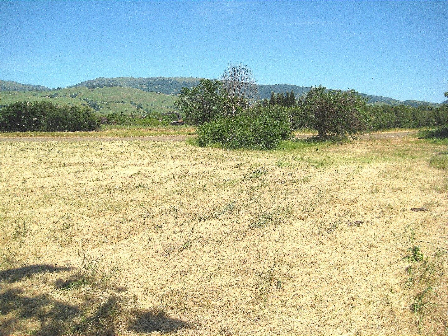 13640 Sycamore Avenue, SAN MARTIN, California 95046, ,Lots And Land,For Sale,Sycamore Avenue,40965104