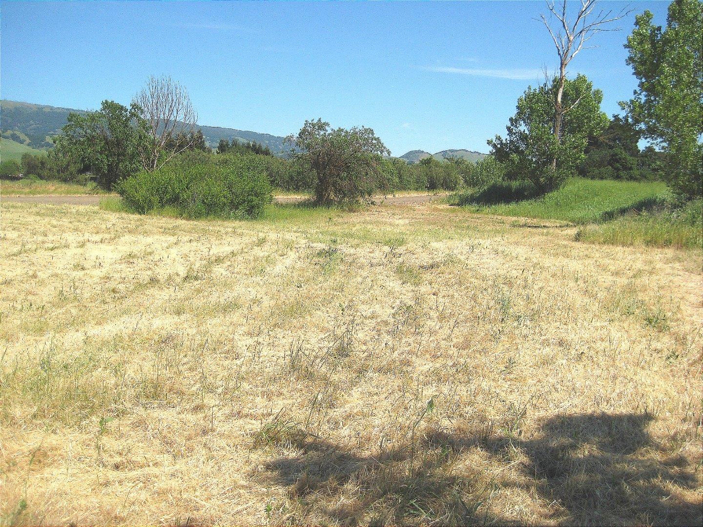 13640 Sycamore Avenue, SAN MARTIN, California 95046, ,Lots And Land,For Sale,Sycamore Avenue,40965104