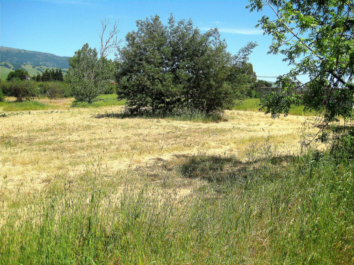 13640 Sycamore Avenue, SAN MARTIN, California 95046, ,Lots And Land,For Sale,Sycamore Avenue,40965104