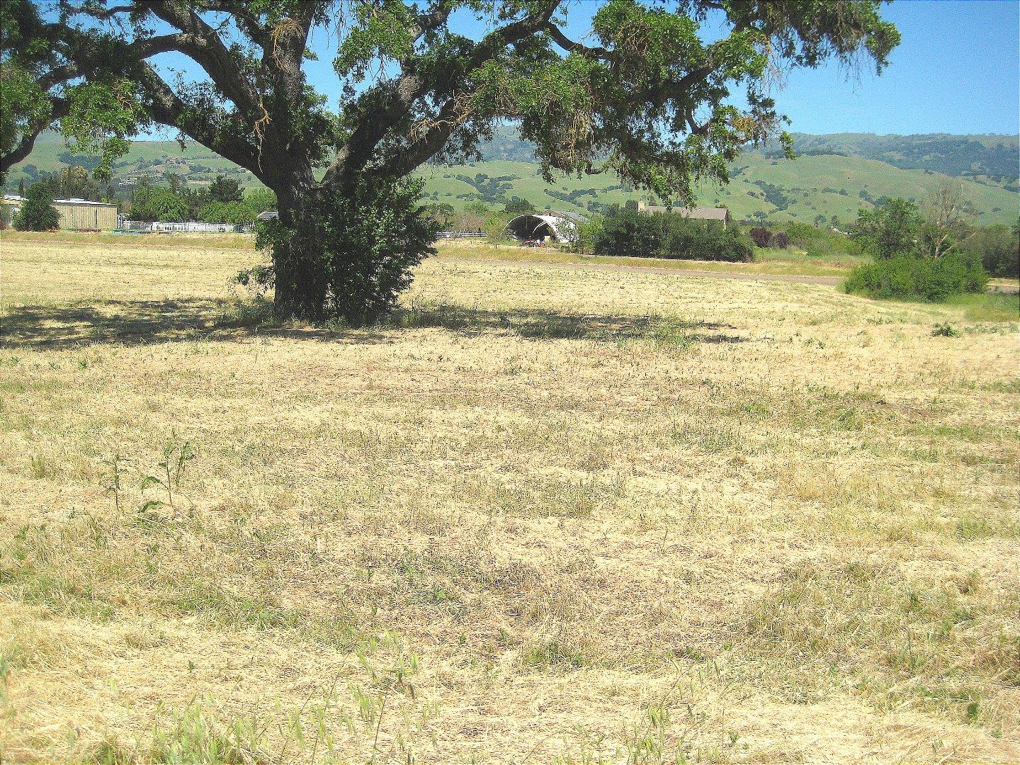 13640 Sycamore Avenue, SAN MARTIN, California 95046, ,Lots And Land,For Sale,Sycamore Avenue,40965104