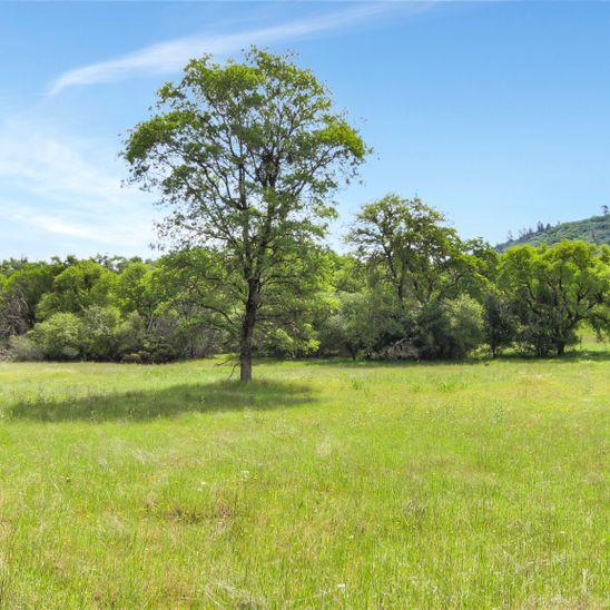 3600 Deer Valley Road, RESCUE, California 95672, ,Lots And Land,For Sale,Deer Valley Road,40967377
