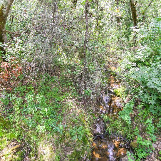 3600 Deer Valley Road, RESCUE, California 95672, ,Lots And Land,For Sale,Deer Valley Road,40967377