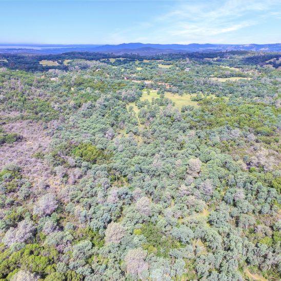 3600 Deer Valley Road, RESCUE, California 95672, ,Lots And Land,For Sale,Deer Valley Road,40967377