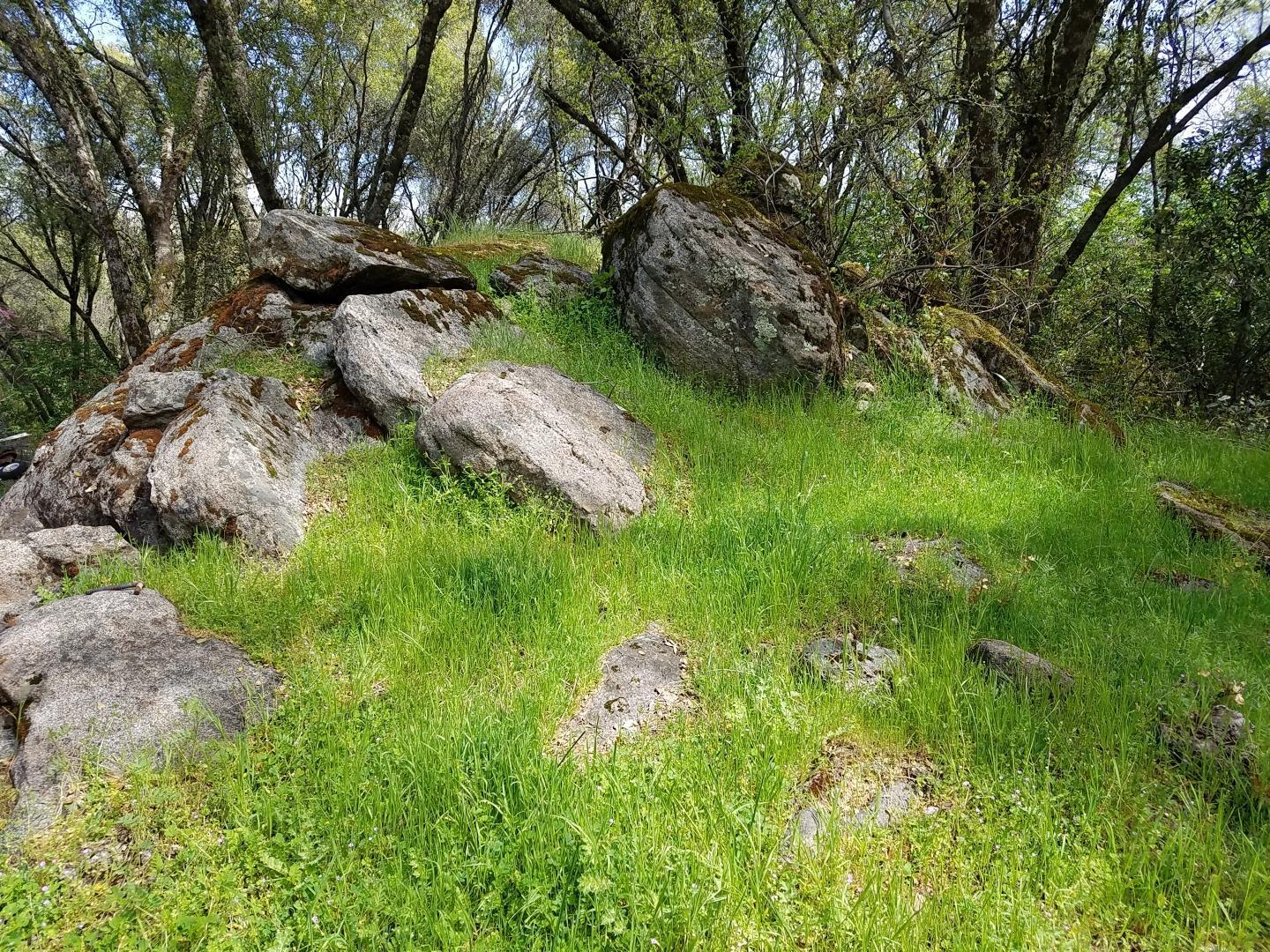 3600 Deer Valley Road, RESCUE, California 95672, ,Lots And Land,For Sale,Deer Valley Road,40967377