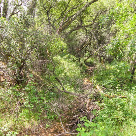 3600 Deer Valley Road, RESCUE, California 95672, ,Lots And Land,For Sale,Deer Valley Road,40967377