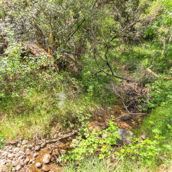 3600 Deer Valley Road, RESCUE, California 95672, ,Lots And Land,For Sale,Deer Valley Road,40967377