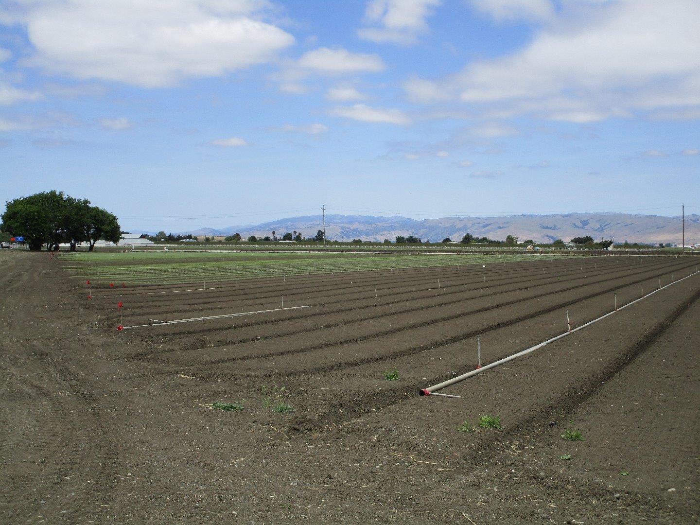0 Wright Road, HOLLISTER, California 95023, ,Comm Lots And Land,For Sale,Wright Road,40963574