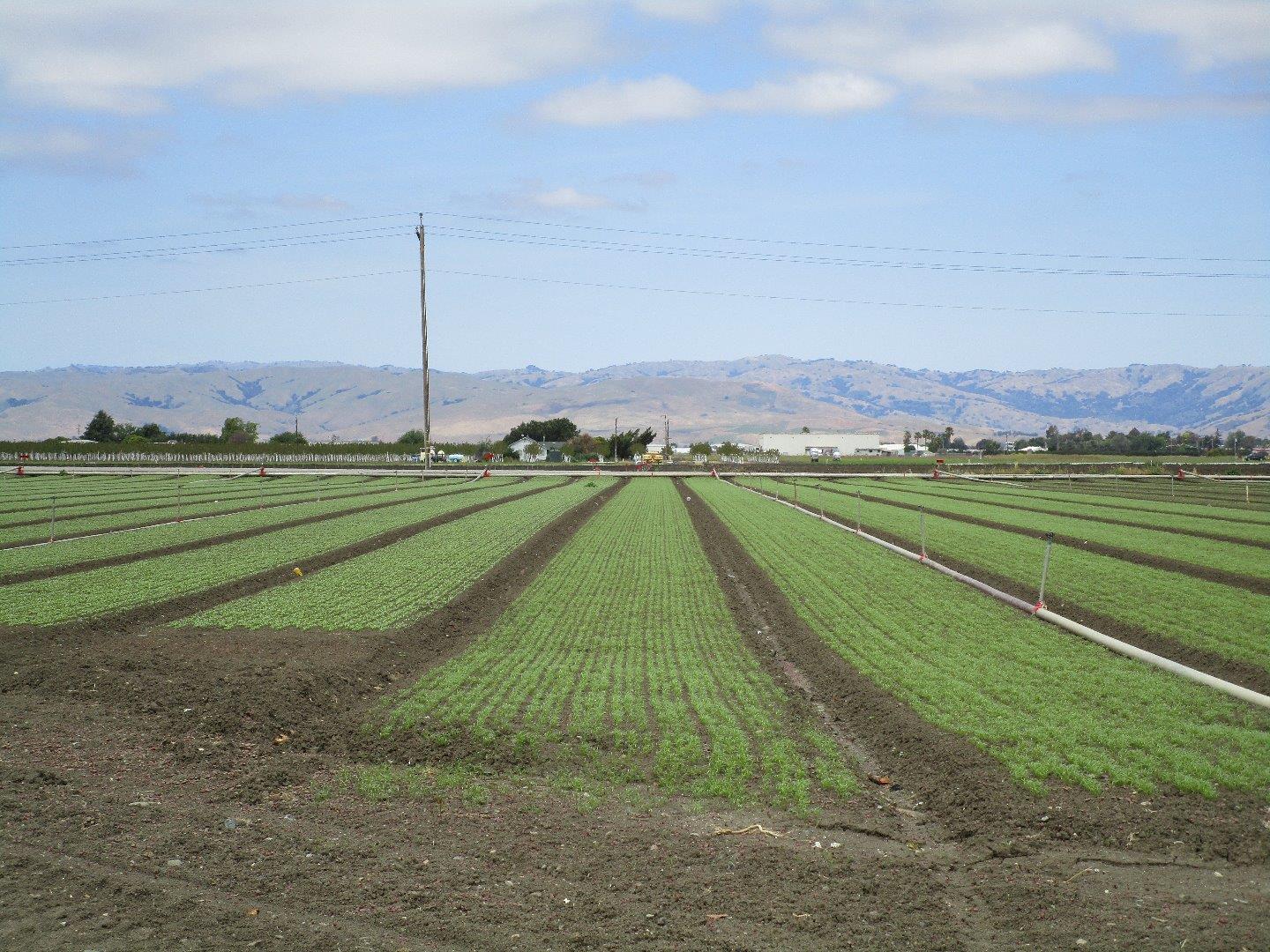 0 Wright Road, HOLLISTER, California 95023, ,Comm Lots And Land,For Sale,Wright Road,40963574