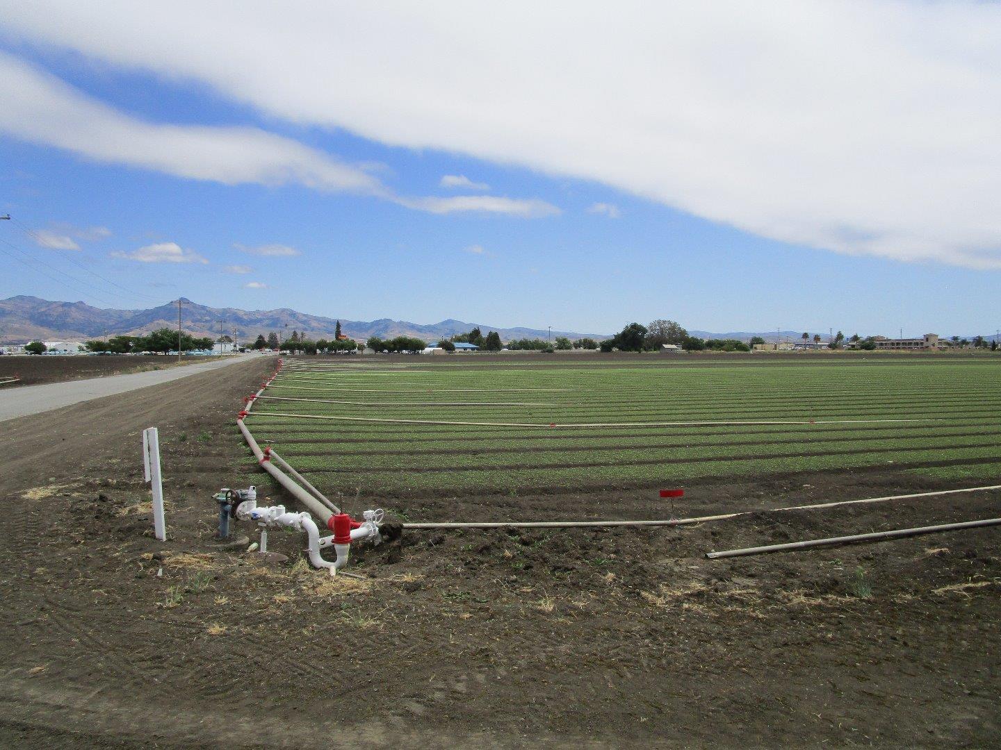 0 Wright Road, HOLLISTER, California 95023, ,Comm Lots And Land,For Sale,Wright Road,40963574