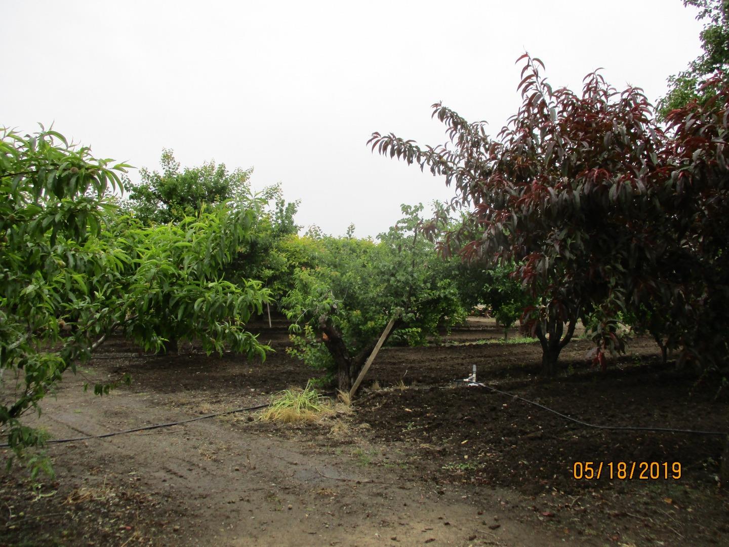 7230 Holsclaw Road, GILROY, California 95020, ,Comm Lots And Land,For Sale,Holsclaw Road,40962295