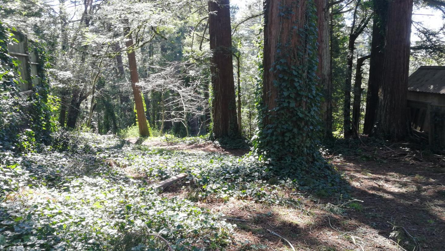 229 Huckleberry Trail, WOODSIDE, California 94062, ,Lots And Land,For Sale,Huckleberry Trail,40967380