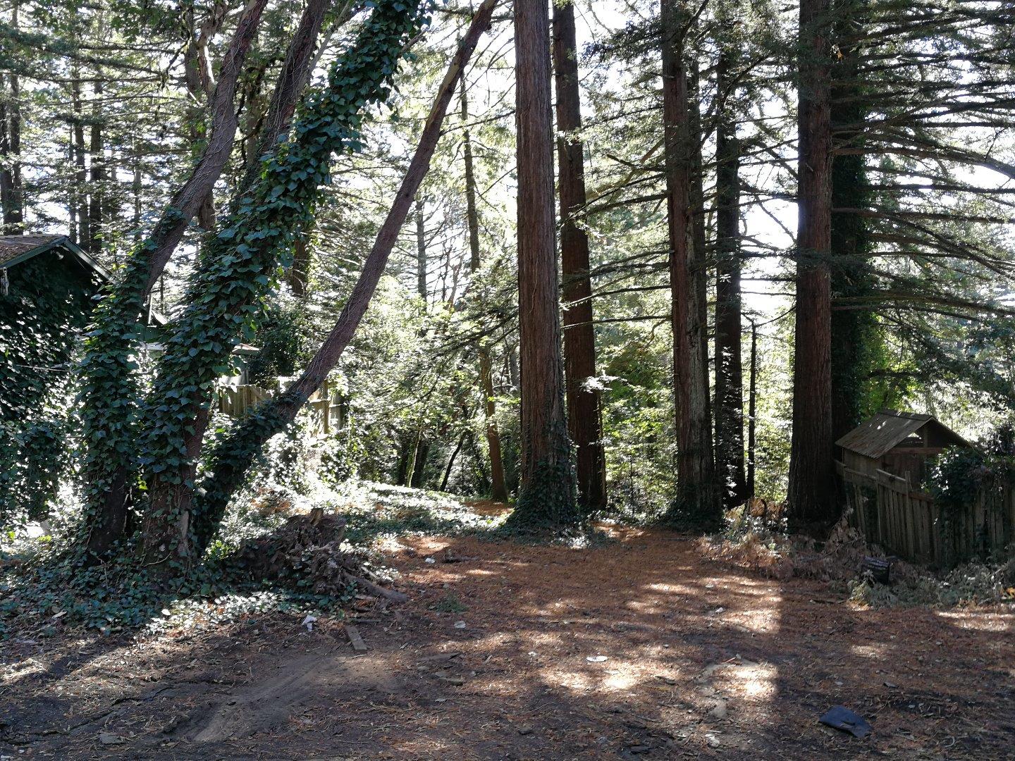 229 Huckleberry Trail, WOODSIDE, California 94062, ,Lots And Land,For Sale,Huckleberry Trail,40967380