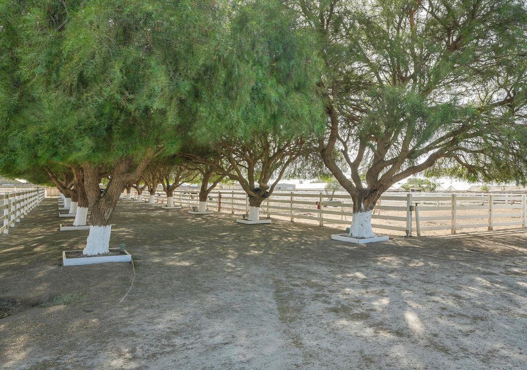 24000 Potter Road, SALINAS, California 93908, ,Comm Lots And Land,For Sale,Potter Road,40962287