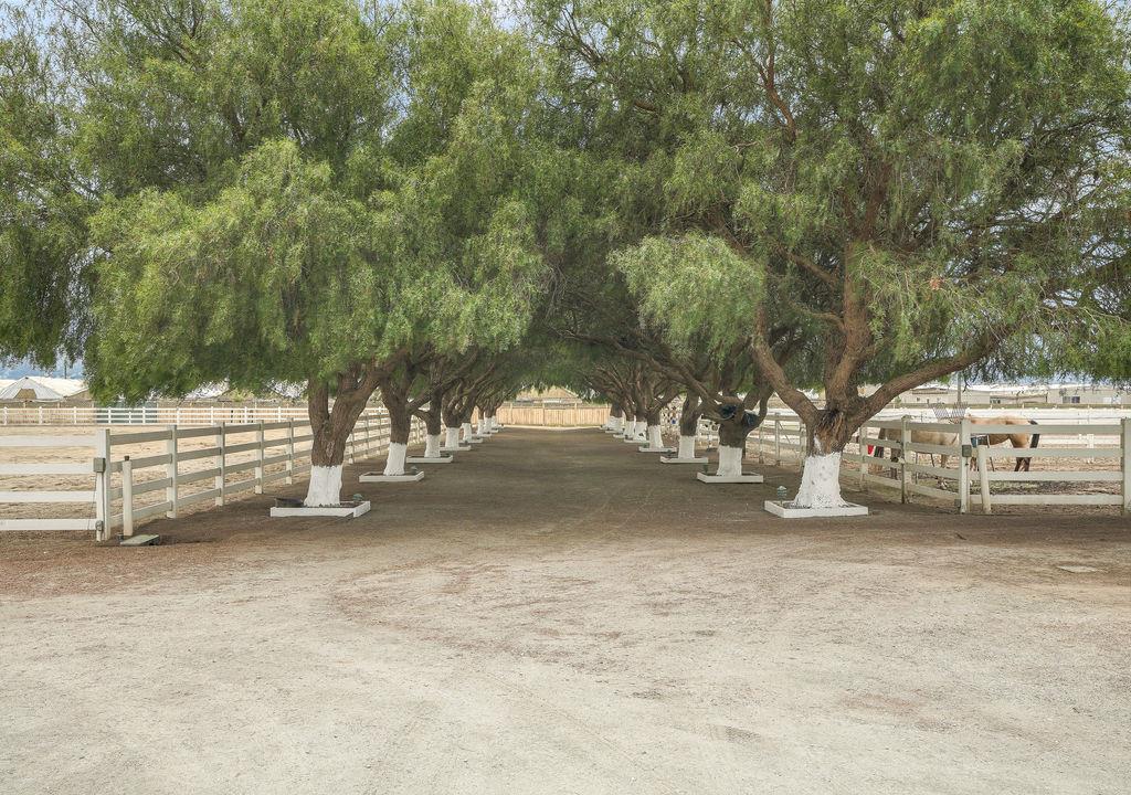 24000 Potter Road, SALINAS, California 93908, ,Comm Lots And Land,For Sale,Potter Road,40962287