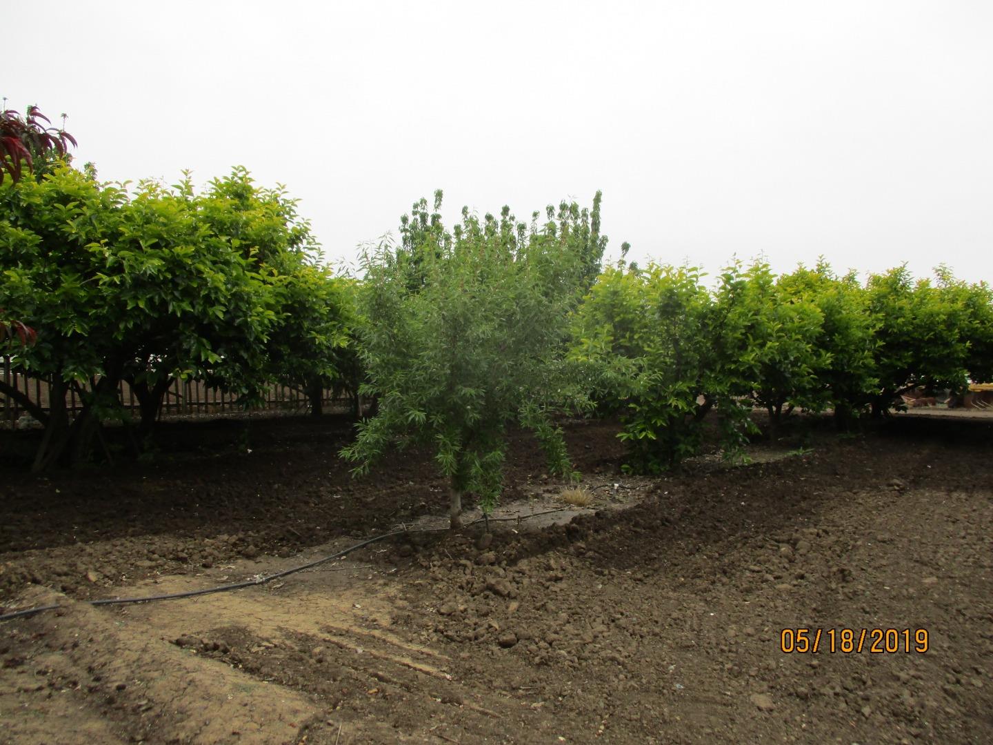 7230 Holsclaw Road, GILROY, California 95020, ,Lots And Land,For Sale,Holsclaw Road,40962290