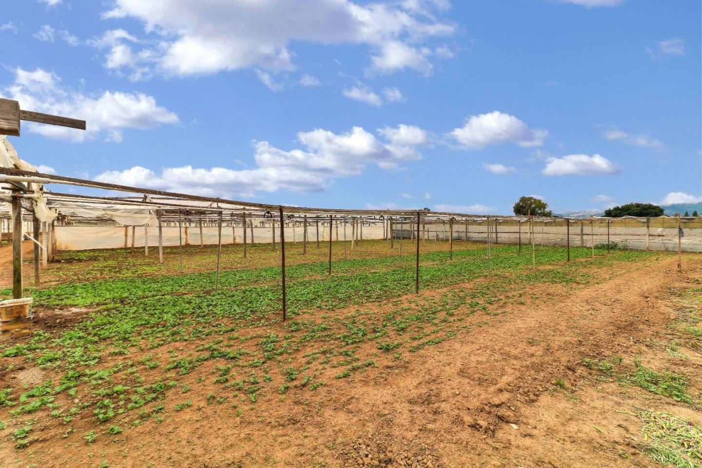 7416-7450 Crews Road, GILROY, California 95020, ,Lots And Land,For Sale,Crews Road,40967381