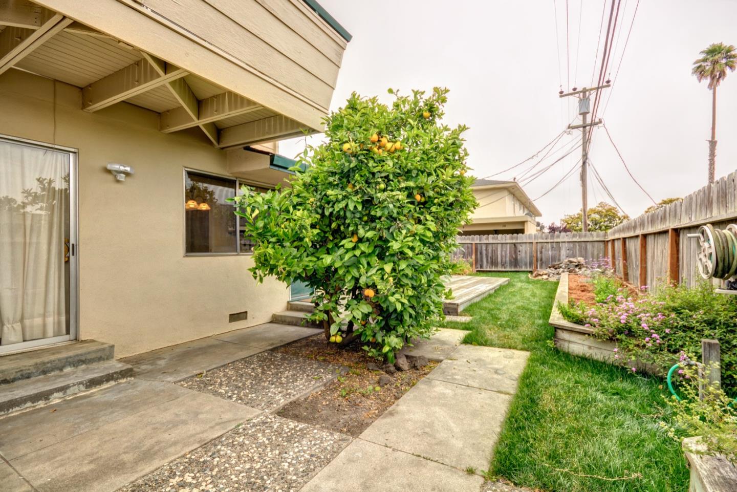 Photos