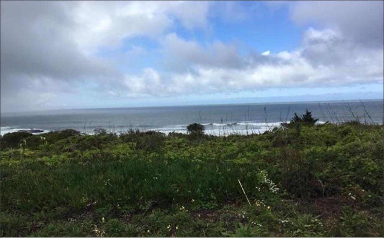 Detail Gallery Image 1 of 1 For 000 Ocean Blvd, Moss Beach,  CA 94038 - – Beds | – Baths