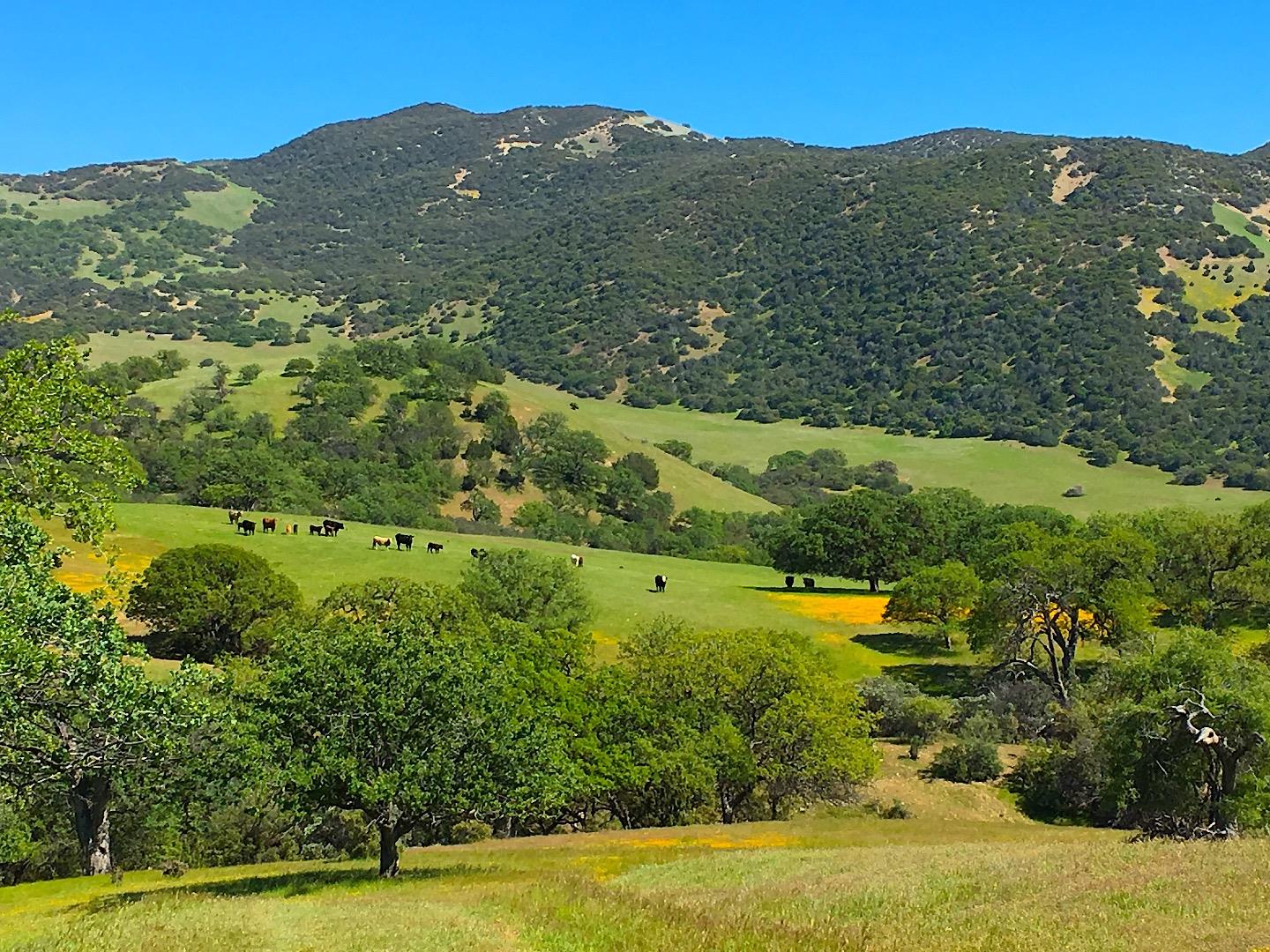00000 Carmel Valley RD, Greenfield, CA 93927 Sotheby's International