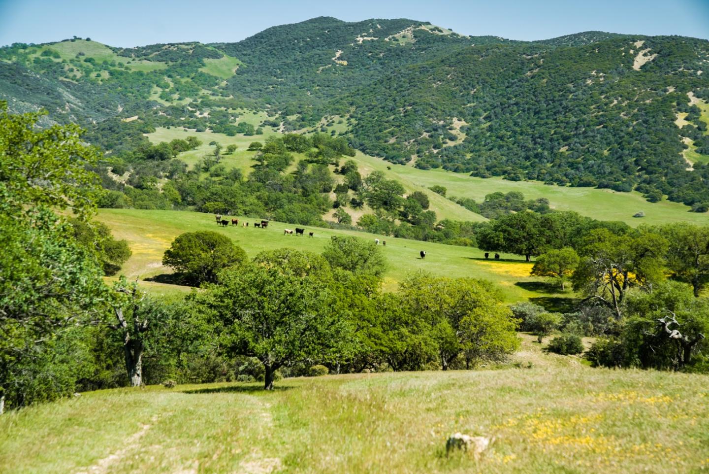 00000 Carmel Valley RD, Greenfield, CA 93927 Sotheby's International