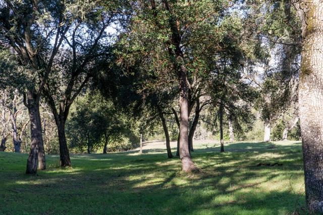 20 Arroyo Sequoia, CARMEL, California 93923, ,Lots And Land,For Sale,Arroyo Sequoia,40961867