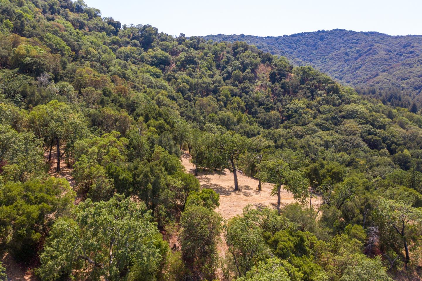 20 Arroyo Sequoia, CARMEL, California 93923, ,Lots And Land,For Sale,Arroyo Sequoia,40961867