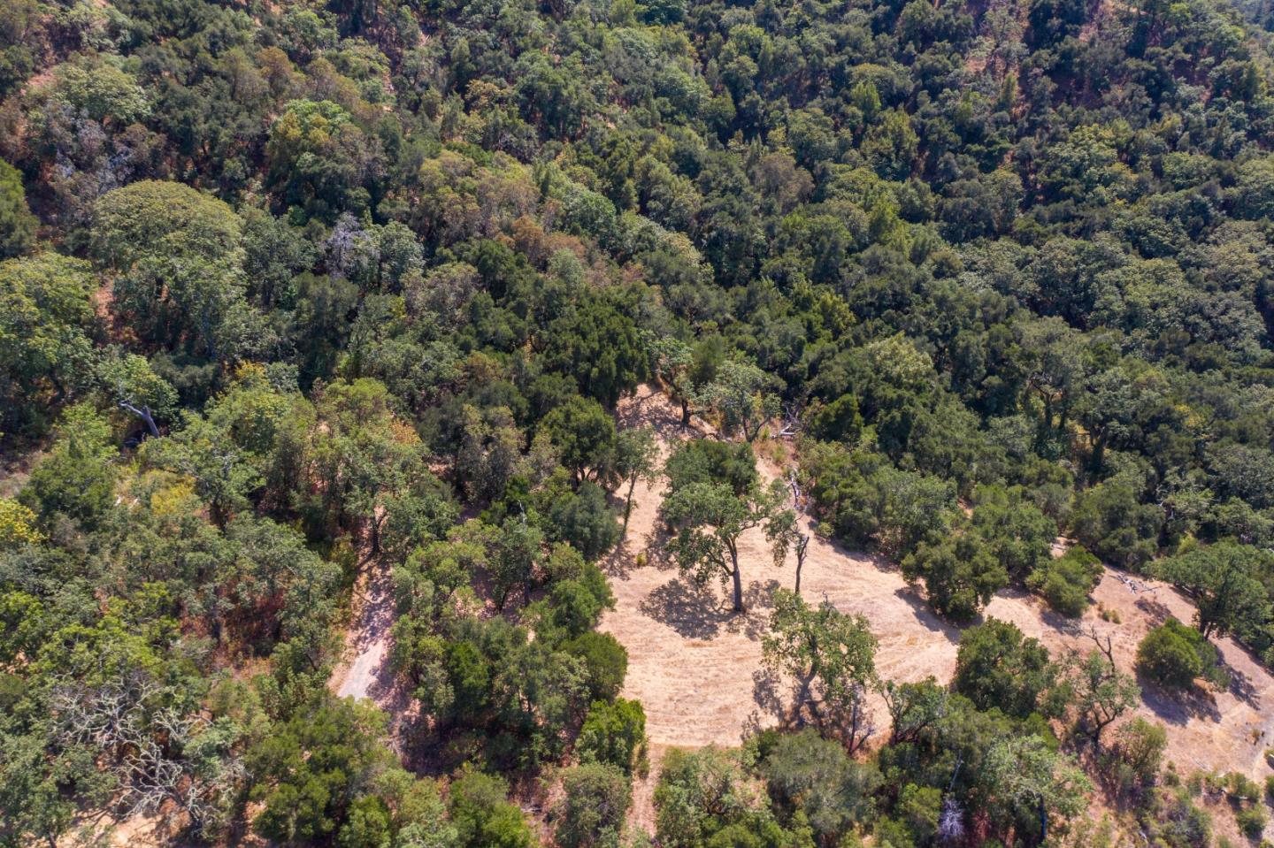 20 Arroyo Sequoia, CARMEL, California 93923, ,Lots And Land,For Sale,Arroyo Sequoia,40961867