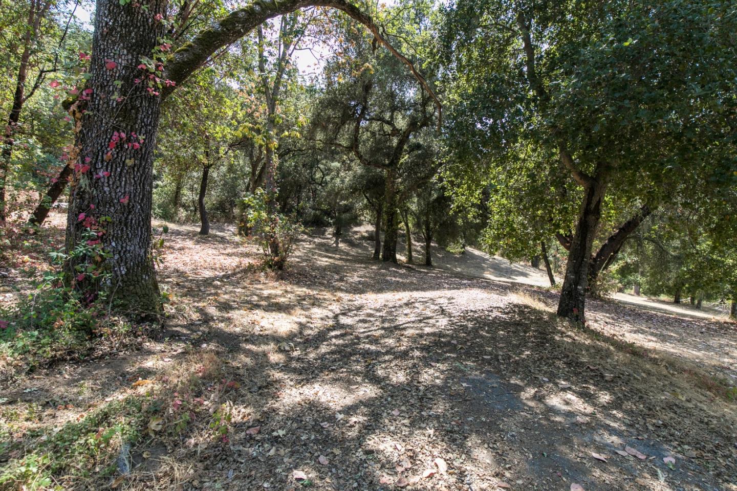 20 Arroyo Sequoia, CARMEL, California 93923, ,Lots And Land,For Sale,Arroyo Sequoia,40961867