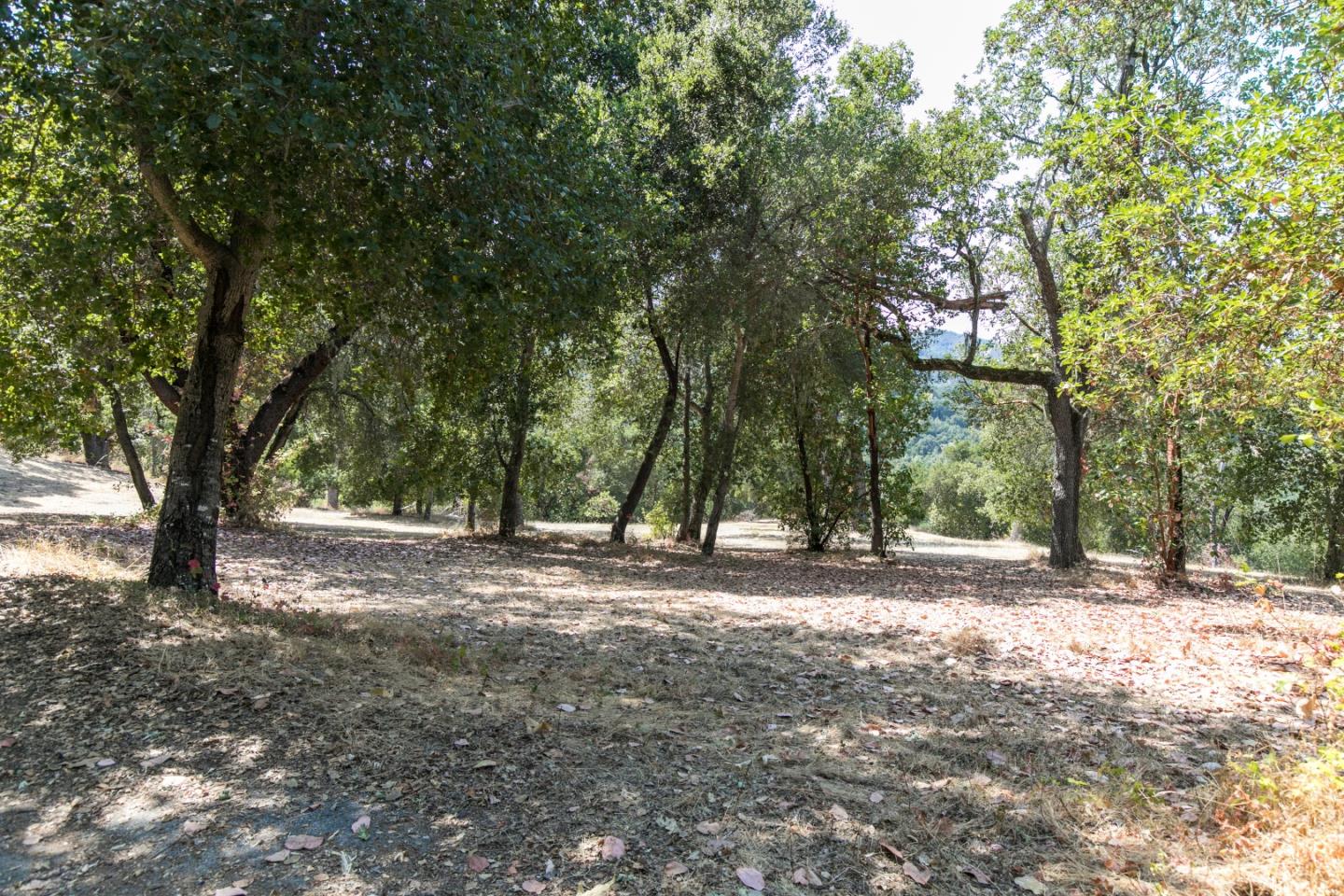 20 Arroyo Sequoia, CARMEL, California 93923, ,Lots And Land,For Sale,Arroyo Sequoia,40961867