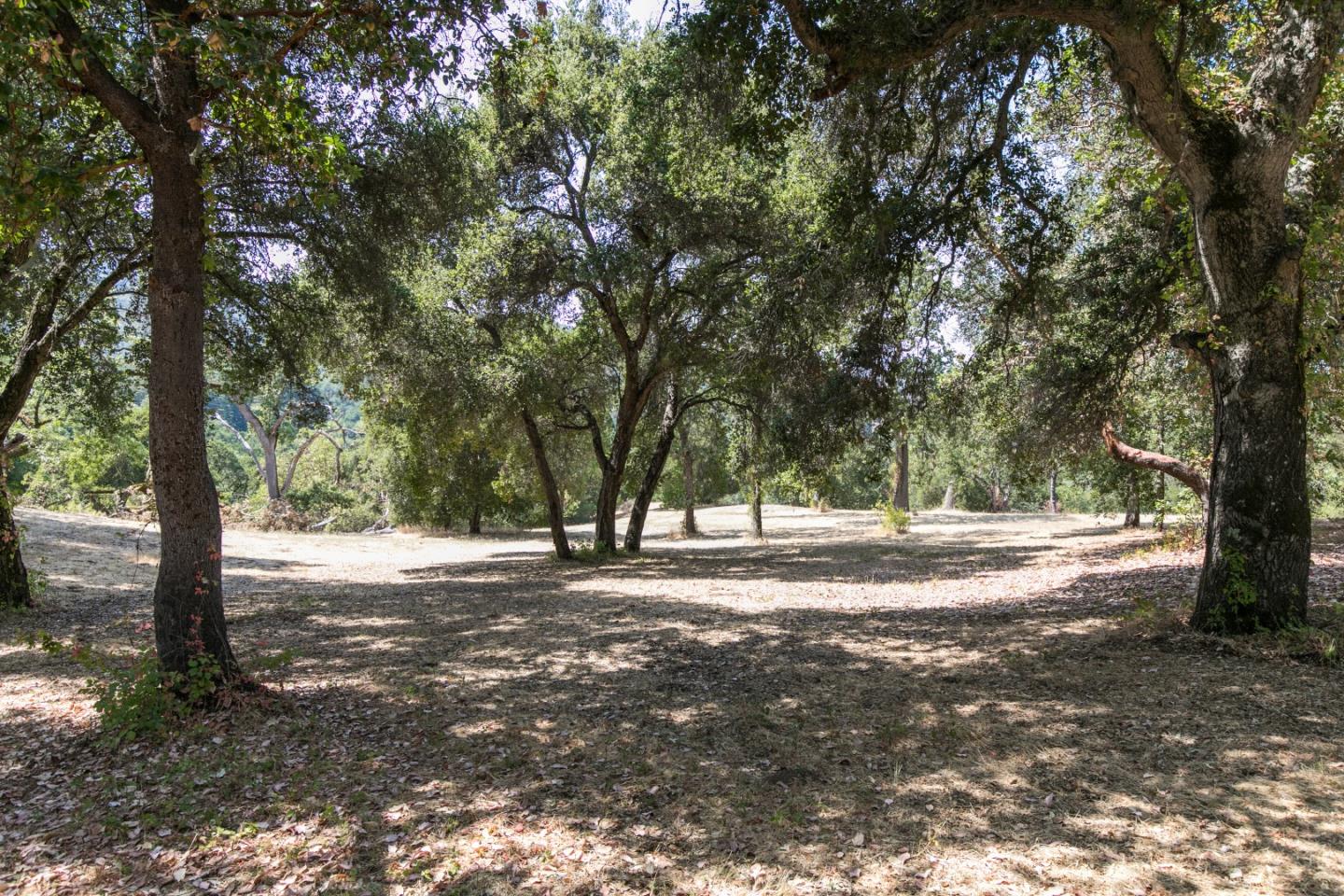 20 Arroyo Sequoia, CARMEL, California 93923, ,Lots And Land,For Sale,Arroyo Sequoia,40961867