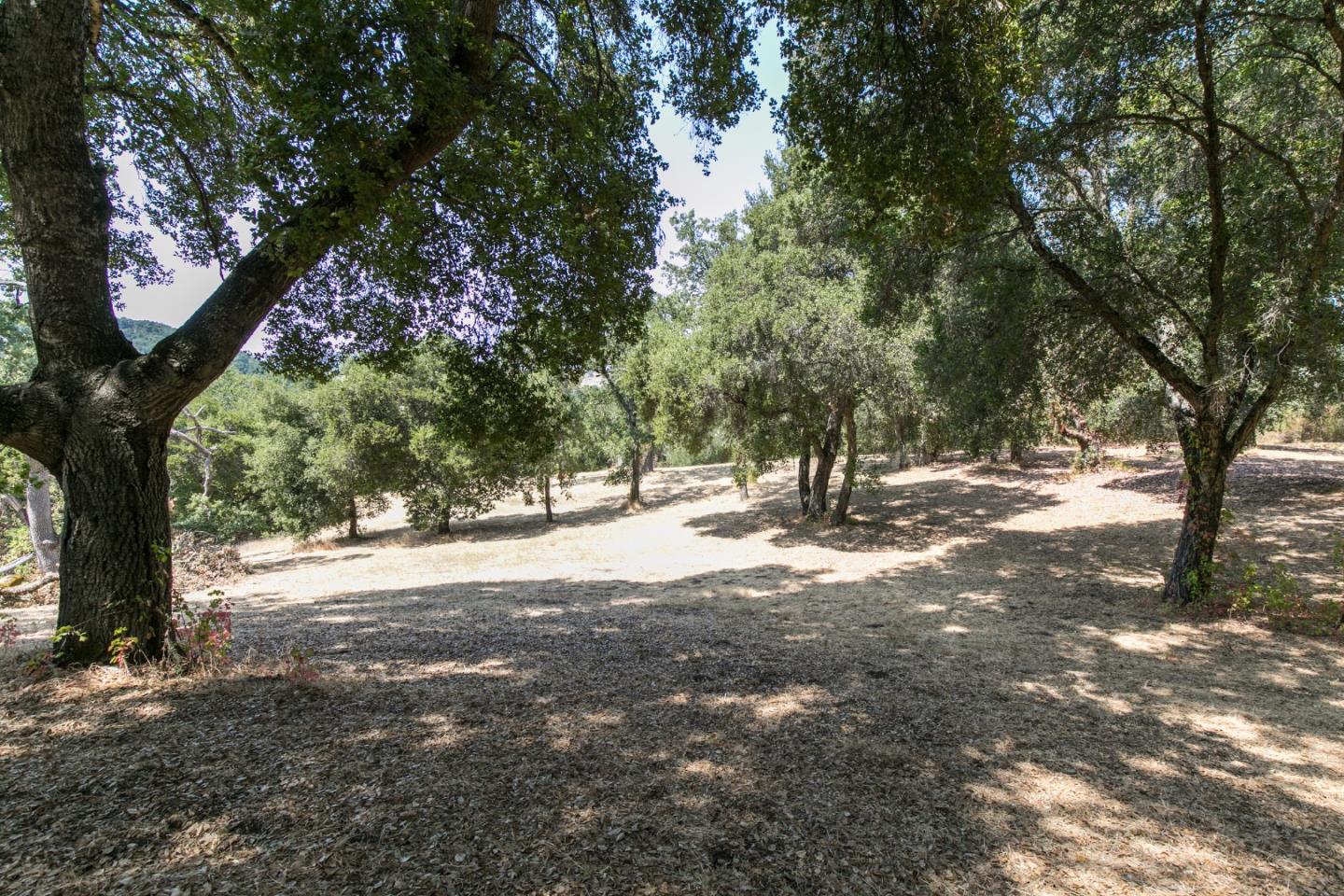 20 Arroyo Sequoia, CARMEL, California 93923, ,Lots And Land,For Sale,Arroyo Sequoia,40961867